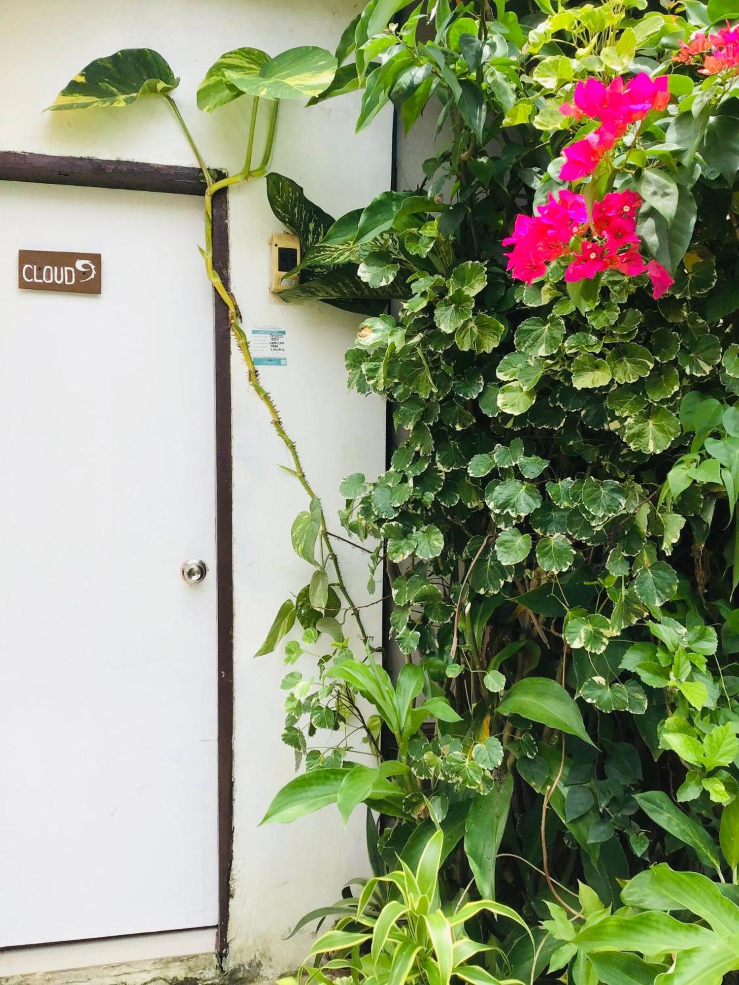 Siargao Zita'S Garden Inn Хенерал Луна Екстериор снимка